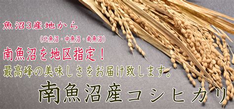 【令和6年】南魚沼産コシヒカリ 多川米店