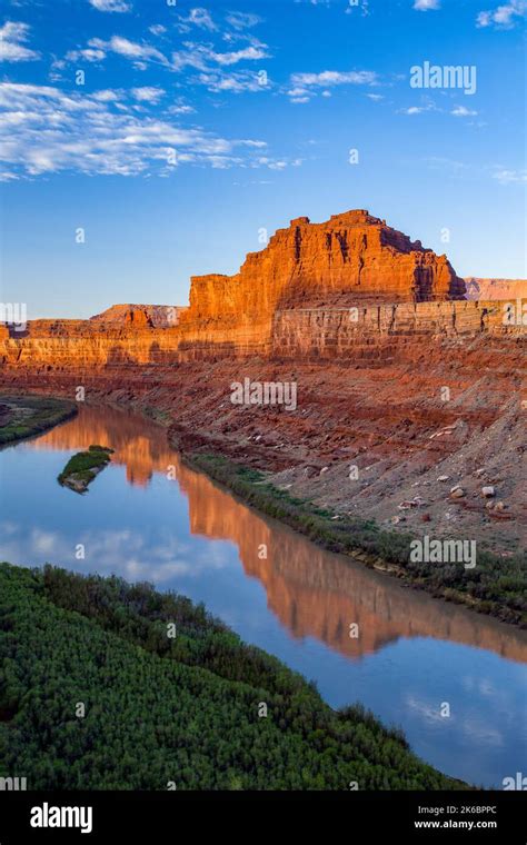 Moenkopi Sandstone Butte Reflected In The Colorado River At The Goose