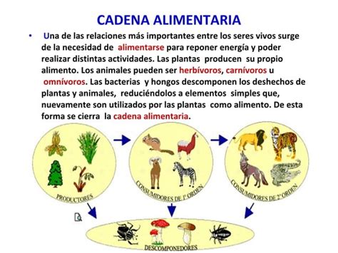 LA BIODIVERSIDAD RESULTADO DE LA EVOLUCIÓN PPT