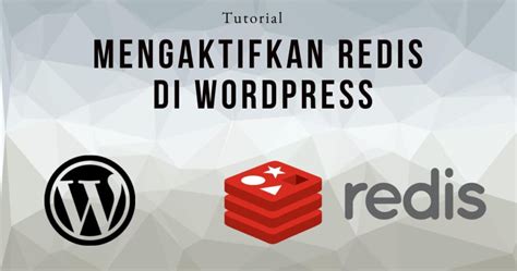 Cara Mengaktifkan Objek Cache Redis Di Wordpress Menggunakan Plugin