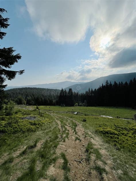 Mountain Climbing Trail, Hoverla, Ukraine Stock Image - Image of ...