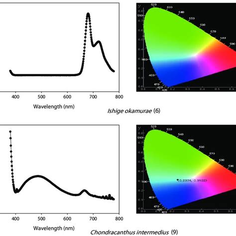 Schematic Diagram Of Photoluminescence Analysis Download Scientific Diagram