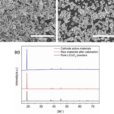 Sem Images And Xrd Patterns Of Licoo A Sem Image Of Cathode