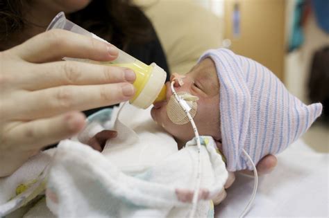 Fortify Human Milk For Premature Infants Baby Reference