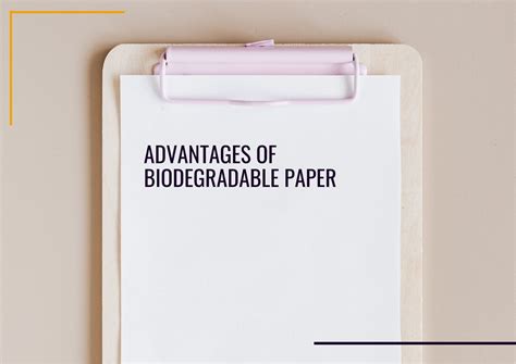 Advantages of biodegradable paper - SALT& Sustainability