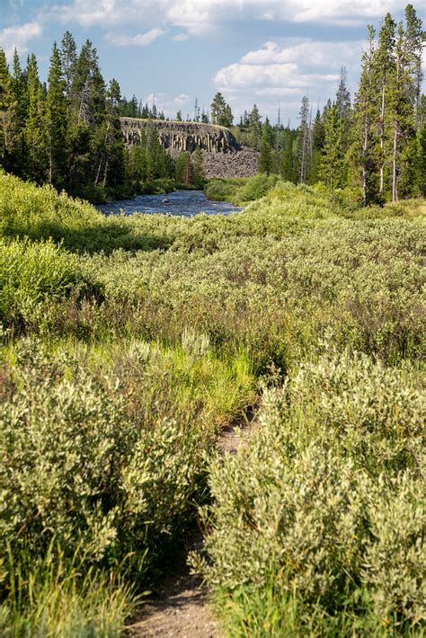 Sheepeater Cliff In Yellowstone National Park With The Ye Flickr