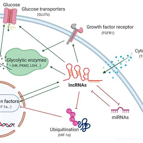 Multienzyme Complexes Metabolons Natures Strategy To Solve