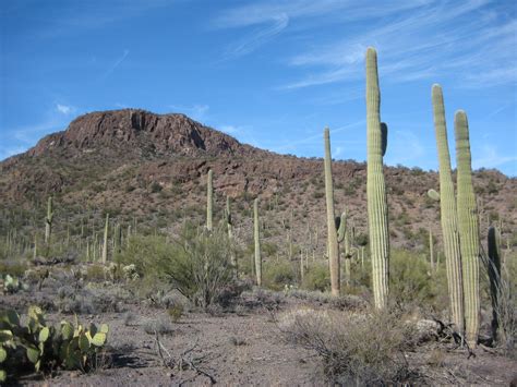 Saguaro National Park West