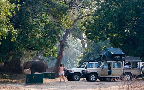 Camping in Mana Pools | All You Need to Know| Jibha Africa Safaris