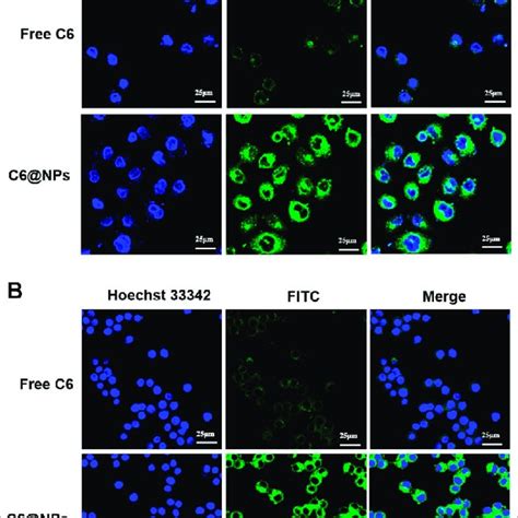 With The Fluorescence Probe C Used To Label Zein Casein Nps The