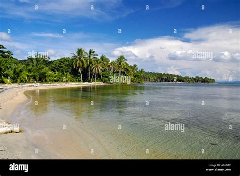 La Playa De Boca Del Drago Playa De Las Estrellas Isla Col N