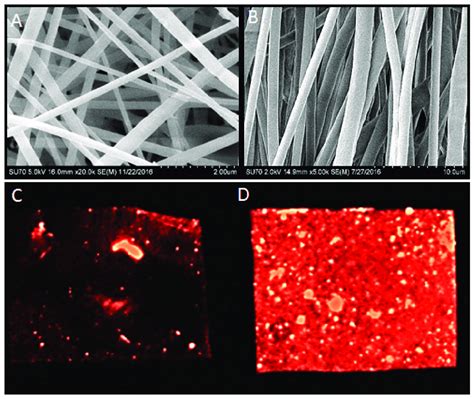 Electrospun Nanofiber Scaffolds Were Generated With Pcl And Imaged With