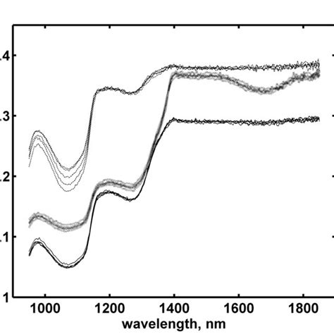 Diffuse Reflectance Spectra Taken During Growth Phase At Different