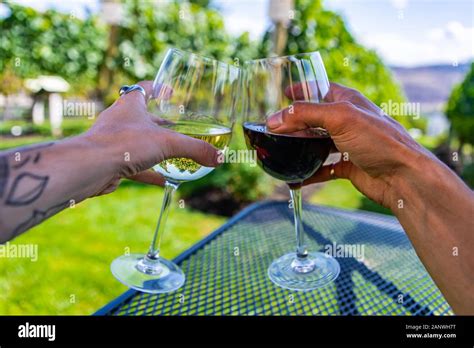 Man And Woman Hands Cheering Wine Glasses As They Sitting Against Beautiful Landscape Of Winery