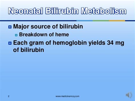 Liver Bilirubin Metabolism Physiological Jaundice