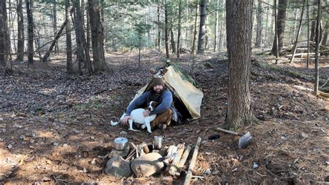 Made A Simple Bushcraft Shelter Youtube