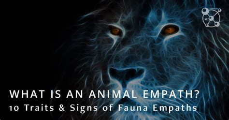 What is an Animal Empath? 10 Traits & Signs of Fauna Empaths