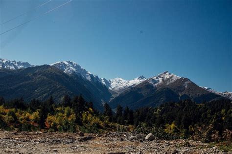 Premium Photo | Mountain wildlife landscape of mountain