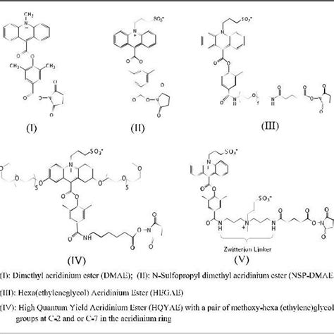 (PDF) Chemiluminescence Immunoassay: Basic Mechanism and Applications