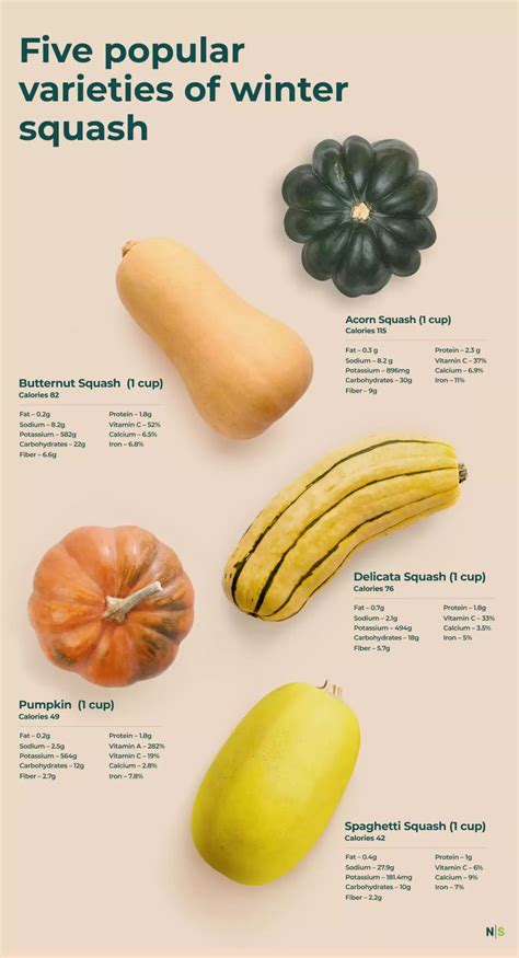 The Health Benefits Of Winter Squash