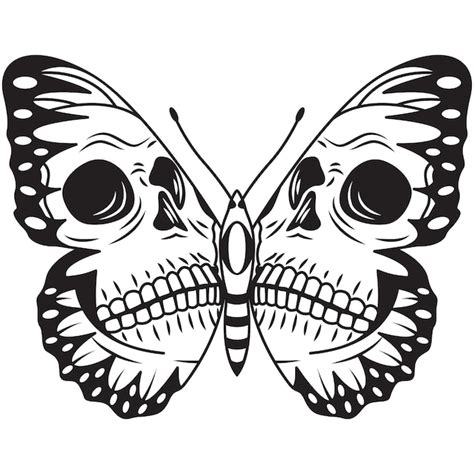 Mariposa Y Calavera Sobre Un Fondo Blanco Vector Premium