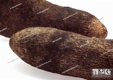 Yam Dioscorea Against White Background Stock Photo Picture And