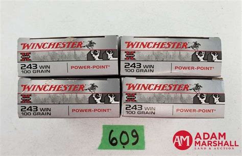 Winchester Super X Power Point 243 Win 100 Gr 4 X 20 Adam