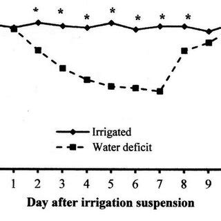 Relative Water Content Rwc Of M Tenuiflora Plants Irrigated And