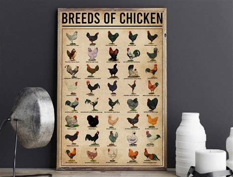 Breeds Of Chicken, Chicken, Breeds Of Chickens Knowledge, Gift For ...