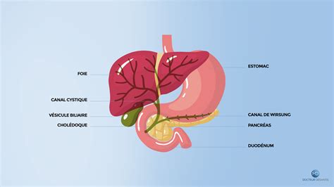 Cholécystectomie Docteur Desantis Chirurgie viscérale et digestive