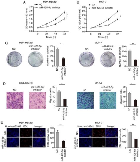 Mir‑425‑5p Is Associated With Poor Prognosis In Patients With Breast Cancer And Promotes Cancer