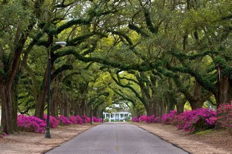 Spring Hill College - Mobile, AL