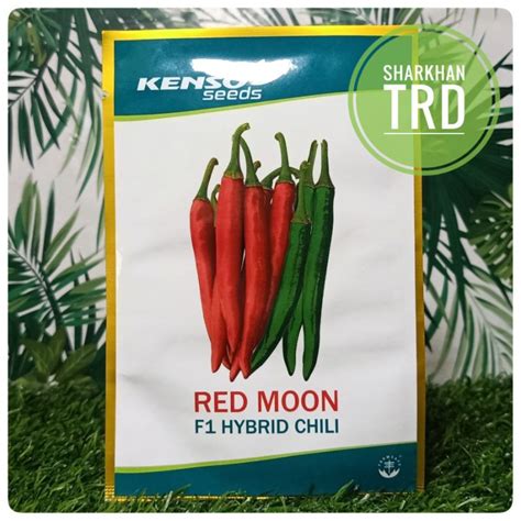 Paket 10g RED MOON F1 Hybrid Chili Kenso Seeds Biji Benih Cili Kulai