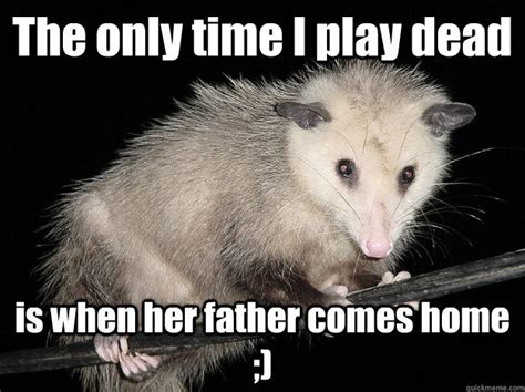 Awesome Possum memes | quickmeme