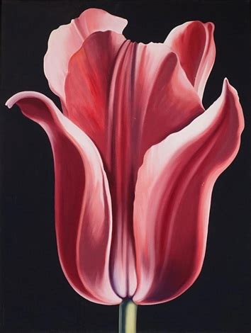 Dark Red Tulip By Lowell Nesbitt On Artnet