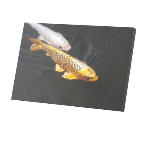 Tableau D Coratif Carpes Koi Or Et Blanc Vie Sauvage Poisson Lac Cm