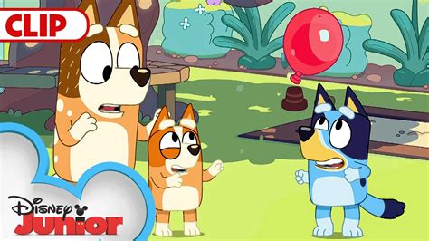 Bluey Season Episode Keepy Uppy Episode Clip Disneyjr