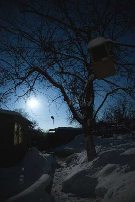 Night Landscape in the Village in the Snow. in the Light of the Moon ...