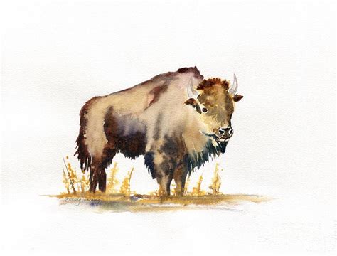 Buffalo Watercolor Painting by Melly Terpening - Fine Art America