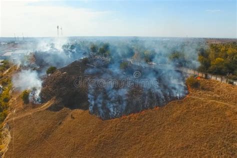 Dry Grass Burns In The Park Everything Is In Smoke Stock Photo