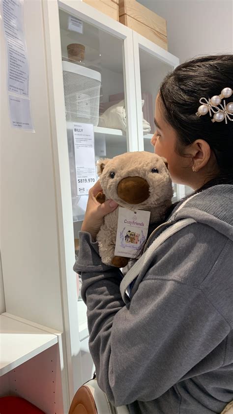 Capybara Cozy Friends