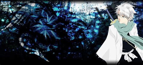 Hitsugaya Toshiro Wallpapers Hd Wallpaper Cave