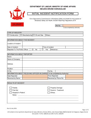 Fillable Online Labour Gov INITIAL INCIDENT NOTIFICATION FORM Labour