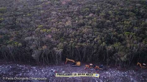 Juez Suspende Obras En El Tramo Del Tren Maya Nieve Azul