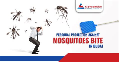 Effective Strategies For Personal Protection Against Mosquito Alpha Arabian Cleaning Services