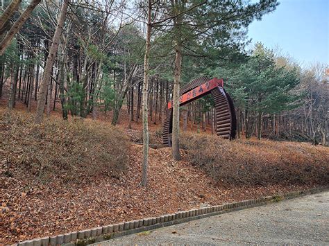 서울근교 등산 김포 문수산 등산로 문수산성 문수산산림욕장 네이트뷰