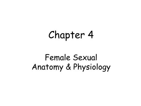 Ppt Chapter 4 Female Sexual Anatomy And Physiology Powerpoint Presentation Id9254190