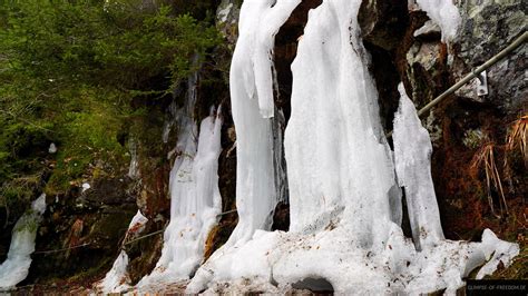 Sentier Des Roches Wanderung Ber Hohneck Vogesen