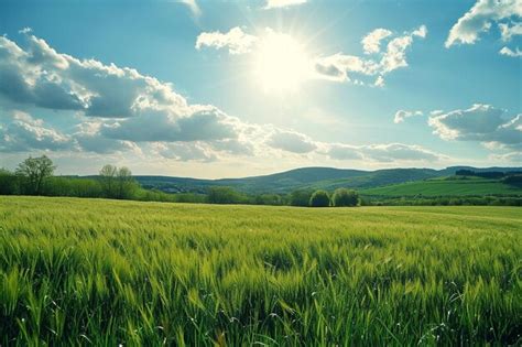 Premium Photo Panorama Landscape View Of Green Grass Field Agent Blue