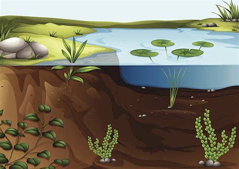 Nitrogen Cycle Illustrations Royalty Free Vector Graphics And Clip Art